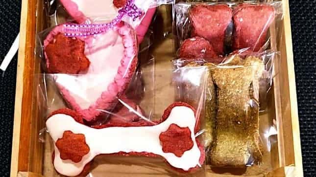 Galletas decoradas para perros